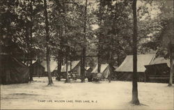 Camp Life, Wilson Lake, Fries Lake Postcard