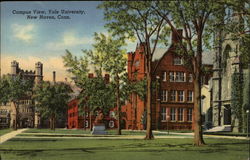 Campus View, Yale University New Haven, CT Postcard Postcard