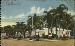 Cocoanut Grove Postcard