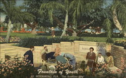 Fountain of Youth Postcard