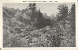 North Branch River from Route 9 Postcard