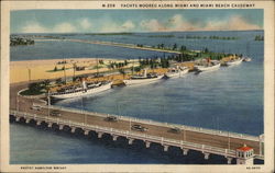 Yachts moored along Miami and Miami Beach Causeway Postcard