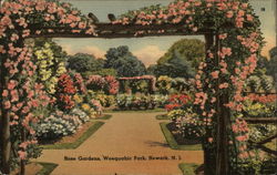 Rose Gardens, Weequahic Park, Newark, N.J New Jersey Postcard Postcard