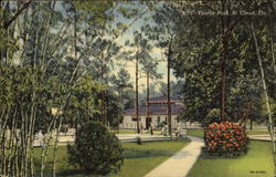 Tourist Park Postcard