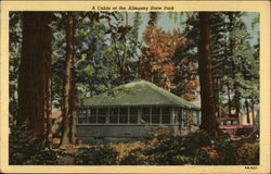 A Cabin at the Allegany State Park Salamanca, NY Postcard Postcard