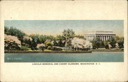 Lincoln Memorial and Cherry Blossoms Postcard