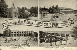 Indiana Dunes State Park Chesterton, IN Postcard Postcard