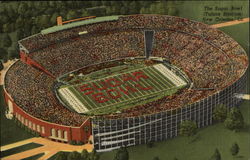 Stock #261091 Thumbnail