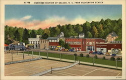 Business Section, viewd from Recreation Center Postcard