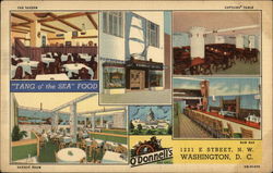 O'Donnell's Sea Grill Postcard