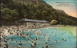 Bathing Beach and Pavilion, Palisades Section, Palisades Interstate Park Postcard