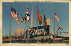 Bridge of Wings and Hall of Pharmacy Postcard