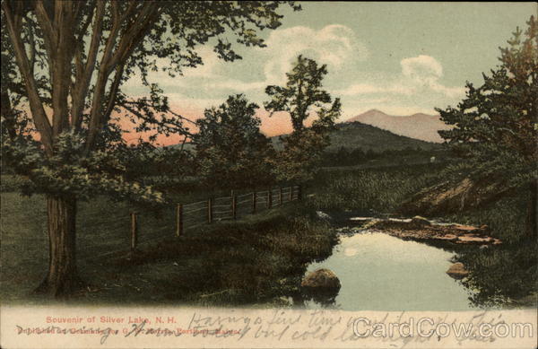 Souvenir of Silver Lake New Hampshire