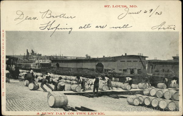 A Busy Day on the Levee St. Louis Missouri