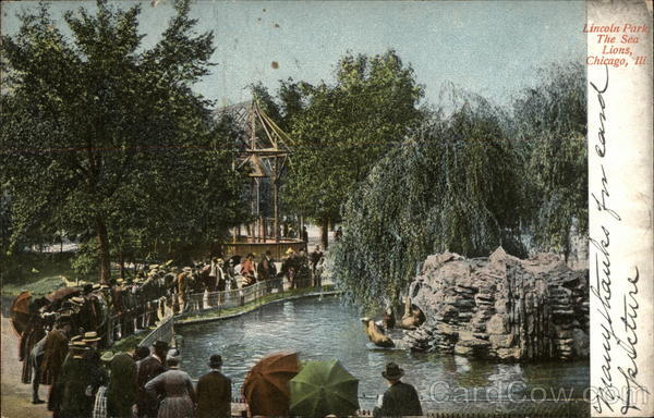 Lincoln Park, The Sea Lions Chicago Illinois