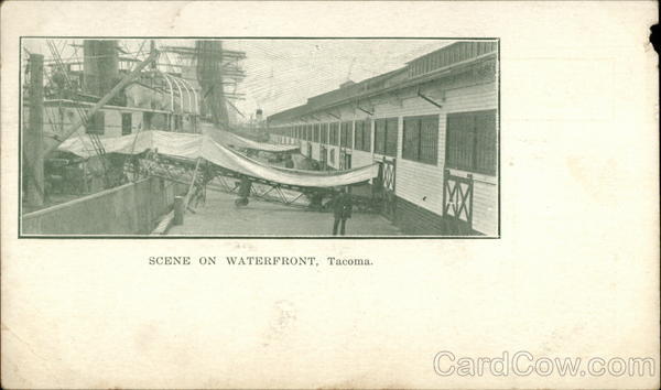 Scene on Waterfront Tacoma Washington