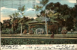 Elephant in Lincoln Park Chicago, IL Postcard Postcard