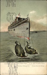 Stock #262605 Thumbnail