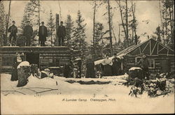 A Lumber Camp Cheboygan, MI Postcard Postcard