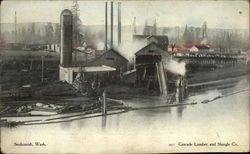 Cascade Lumber and Shingle Co Postcard