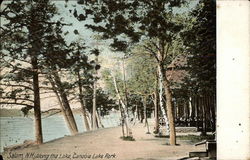 Along the Lake, Canobie Lake Park Salem, NH Postcard Postcard