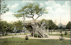 Canobie Lake Park Postcard