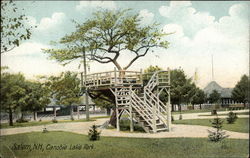 Canobie Lake Park Postcard