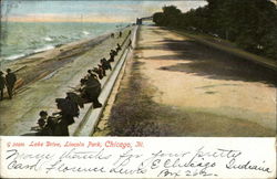 Lake Drive, Lincoln Park Postcard