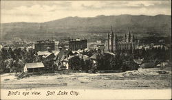 Bird's Eye View Postcard