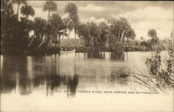On the Tomoka River Near Ormond and Daytona Postcard