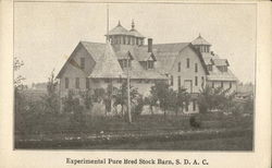 Experimental Pure Bred Stock Barn Postcard