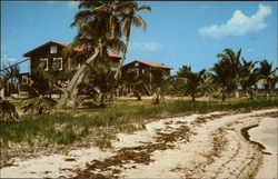 Beach and Lodges at Bill Haerr's Fishing Lodge Belize City, Belize Central America Postcard Postcard