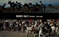 Burro Race Postcard