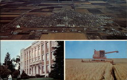 Sherman County seat Goodland, KS Postcard Postcard