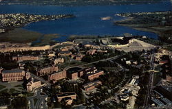 University of Washington Postcard