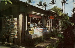 Waikiki Fotoshop Hawaii Postcard Postcard