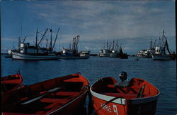 Fishing Fleet - Monterey Harbor Postcard