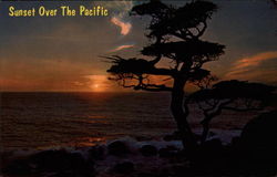 Sunset Over the Pacific Postcard