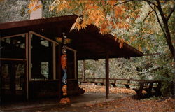 Redwood Camp Redwood Camp