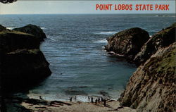 China Cove, Point Lobos State Park Postcard