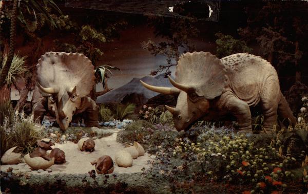 Triceratops display Anaheim California Disney