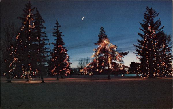 Malin Community Park's Annual Christmas Tree Lighting Oregon