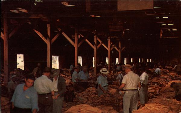 Interior of a Tobacco Warehouse during an Auction Sale