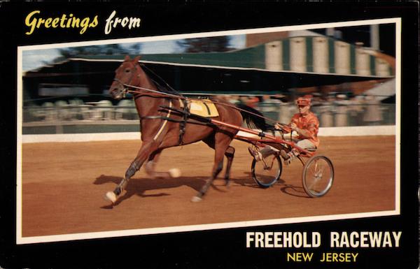 A Trotter In Action Freehold New Jersey