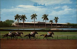 Thrilling Race at Hialeah Racecourse Miami, FL Postcard Postcard