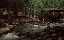 Carr's Northside Cottages Gatlinburg, TN Postcard Postcard