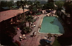 The Town House Postcard