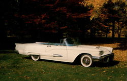 1959 Ford Thunderbird Cars Postcard Postcard