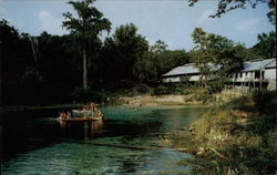 Swimmers Enjoy Beautiful Fannin Springs Postcard
