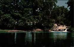 The San Marcos River Postcard